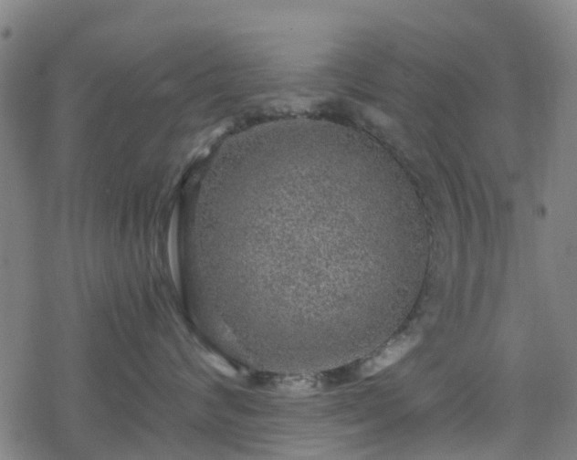 X0000078300624200611101135