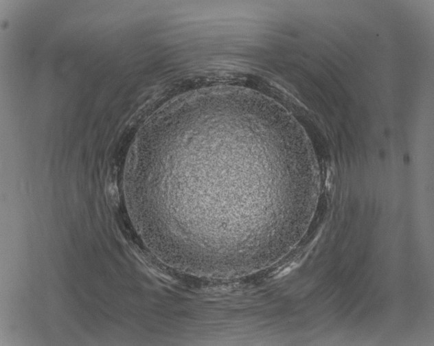 X0000078300771200611101133