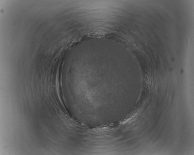 X0000078300818200611101131