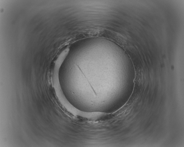 X0000078300962200611101129
