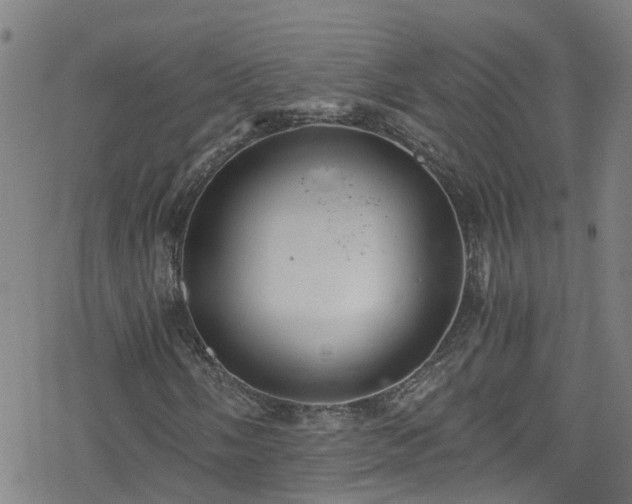 X0000078301058200611101128