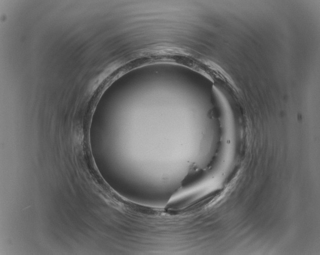 X0000078301065200611101128