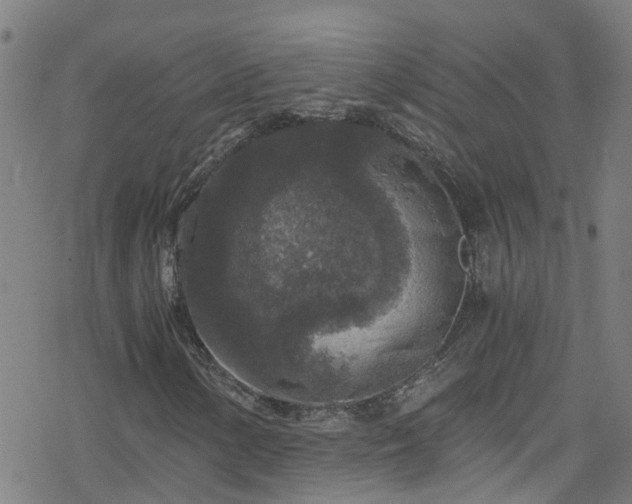 X0000078301154200611101126