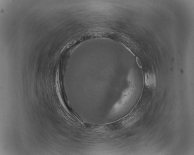 X0000078301155200611101126