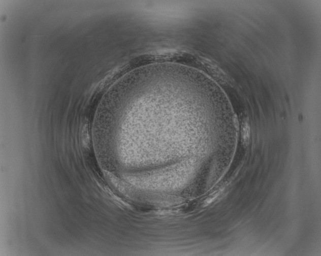 X0000078301204200611101125