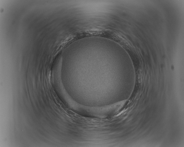 X0000078301298200611101123