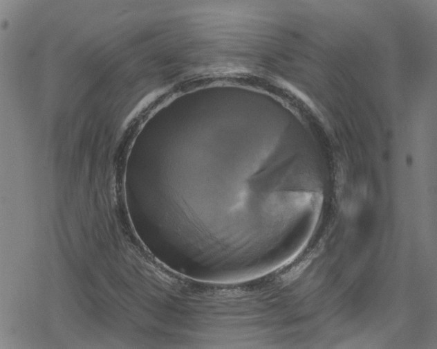 X0000078301306200611101123