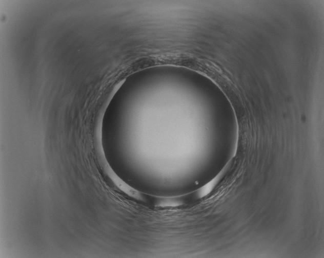X0000078301345200611101123