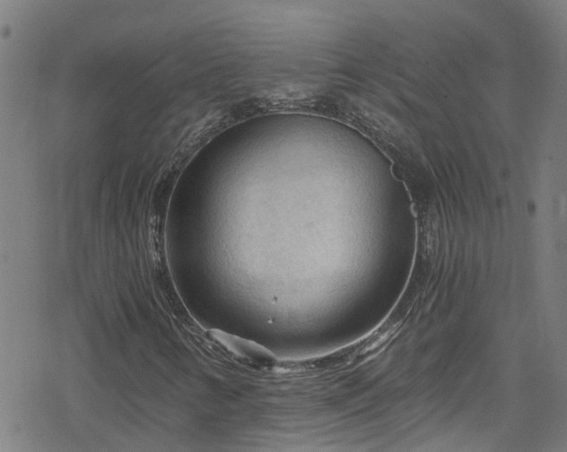 X0000078301346200611101123