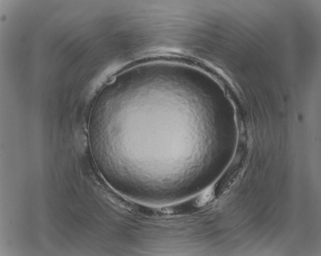 X0000078301363200611101123