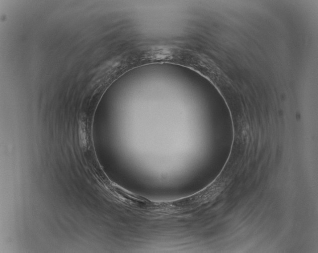 X0000078301442200611101122