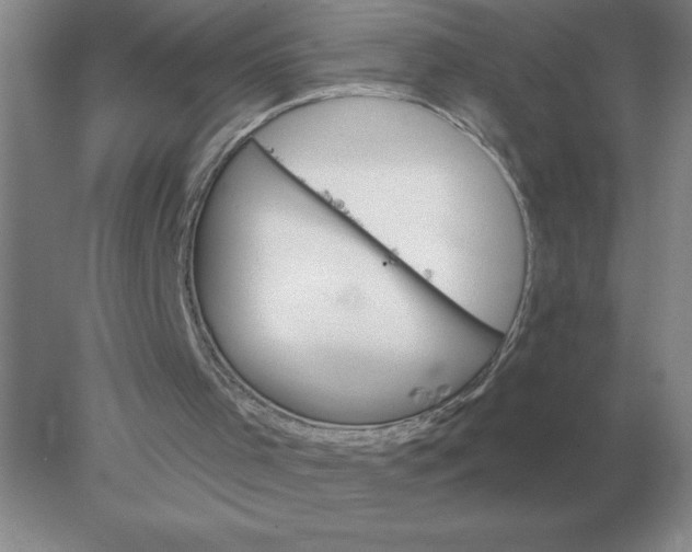 X0000078300001200611172200