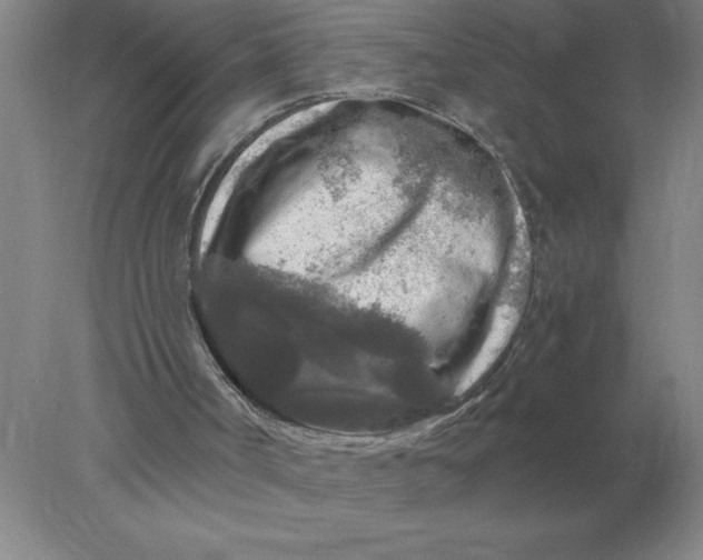 X0000078300002200611172200