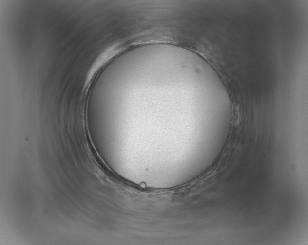 X0000078300004200611172200