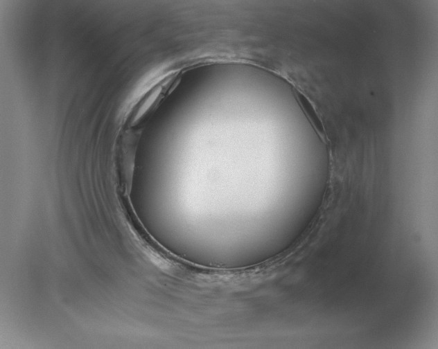 X0000078300005200611172200