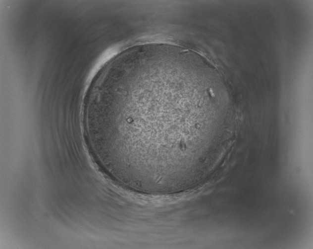 X0000078300006200611172200