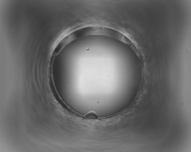 X0000078300007200611172200