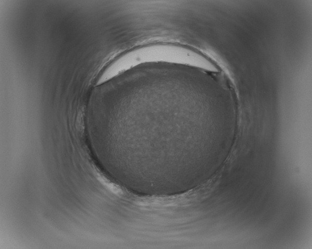 X0000078300009200611172200