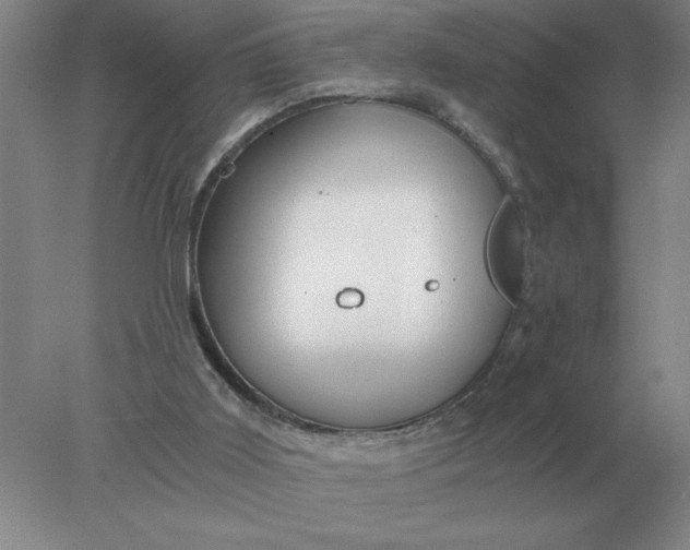 X0000078300011200611172200