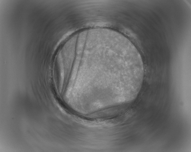 X0000078300012200611172200