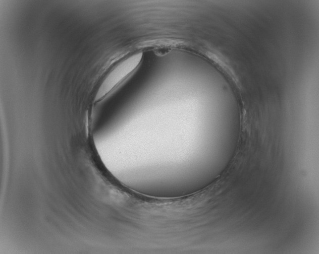 X0000078300013200611172200