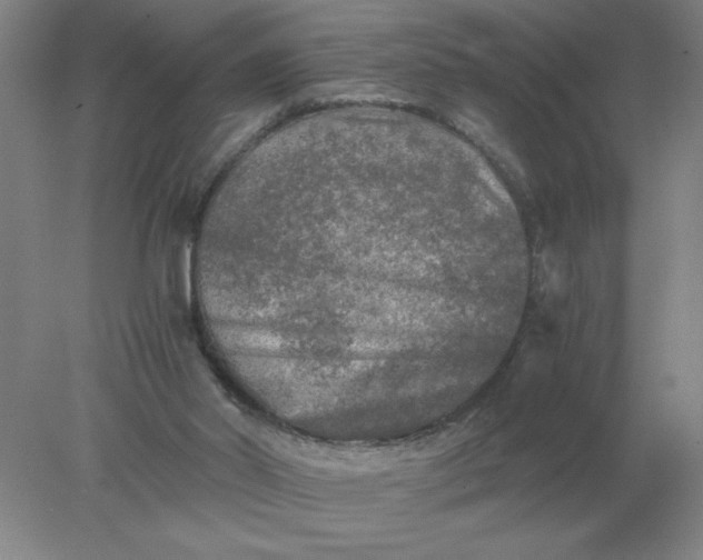 X0000078300014200611172200