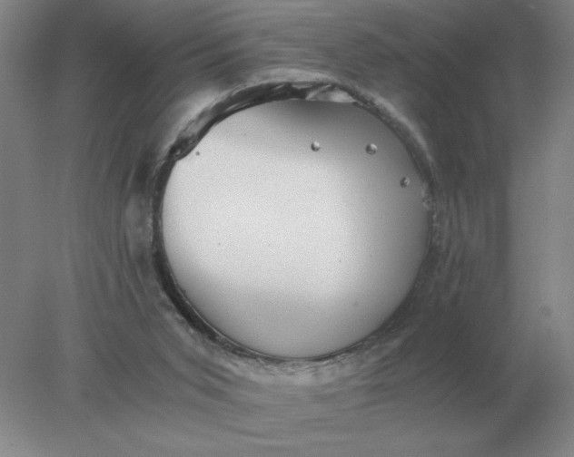 X0000078300015200611172200