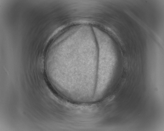 X0000078300016200611172200