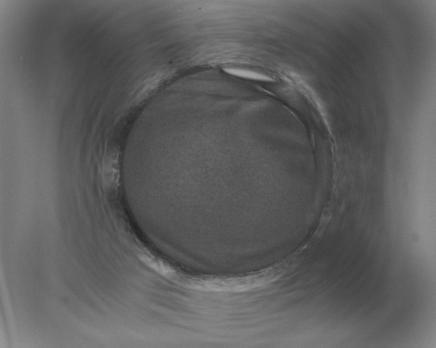 X0000078300017200611172200