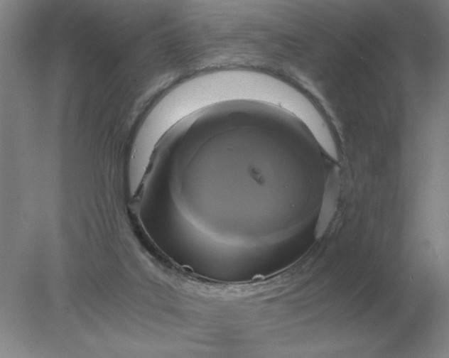 X0000078300019200611172200