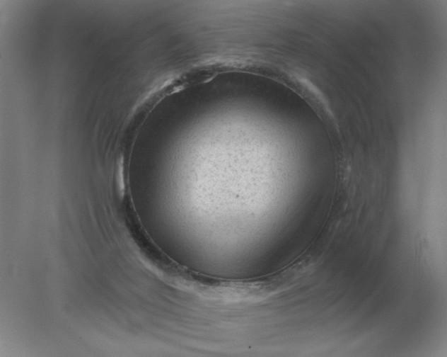 X0000078300020200611172200