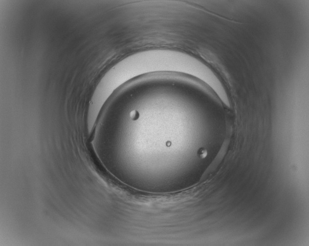 X0000078300021200611172200