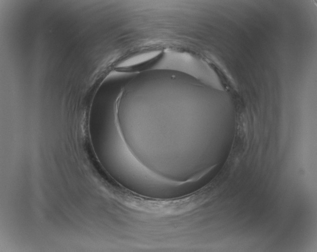 X0000078300023200611172200