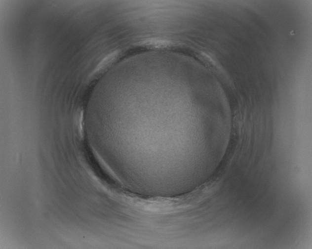 X0000078300024200611172200