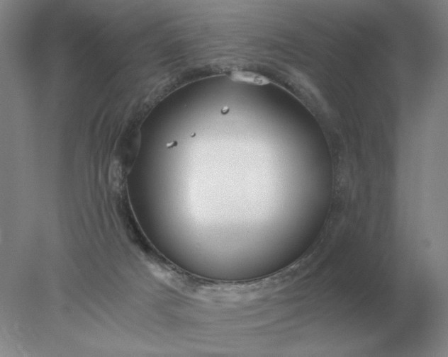 X0000078300025200611172200