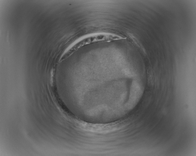 X0000078300026200611172200