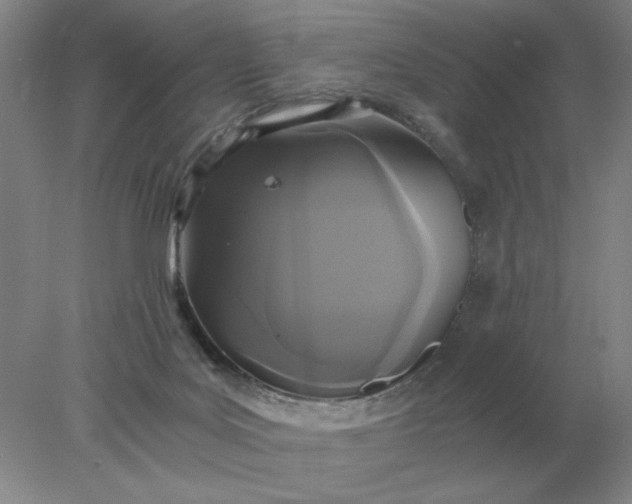 X0000078300027200611172200