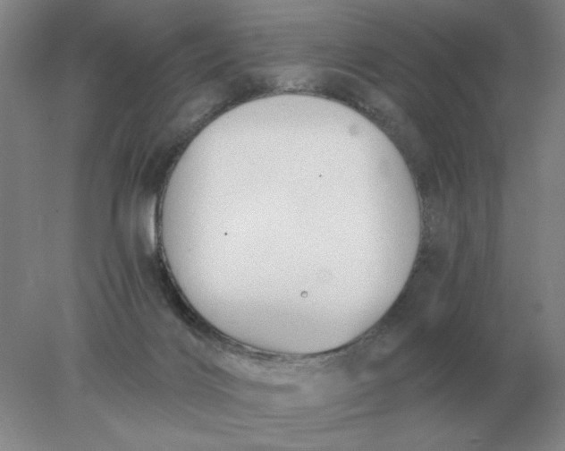 X0000078300028200611172200