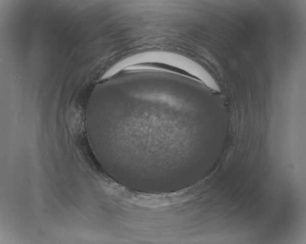 X0000078300029200611172200