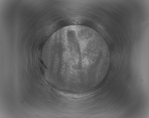 X0000078300030200611172200