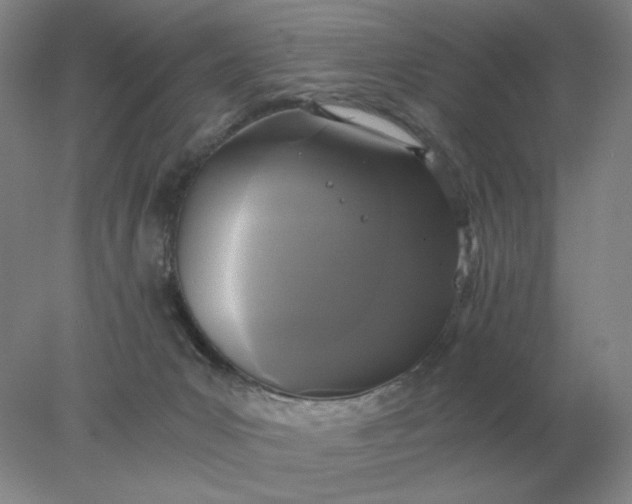 X0000078300031200611172200