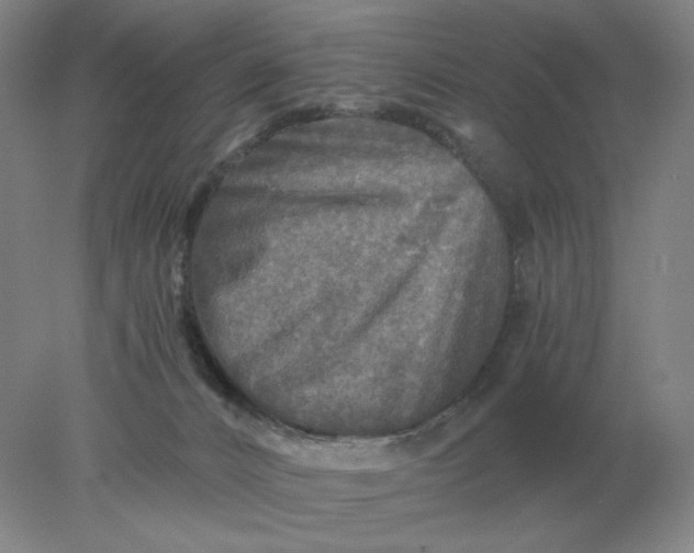 X0000078300032200611172200