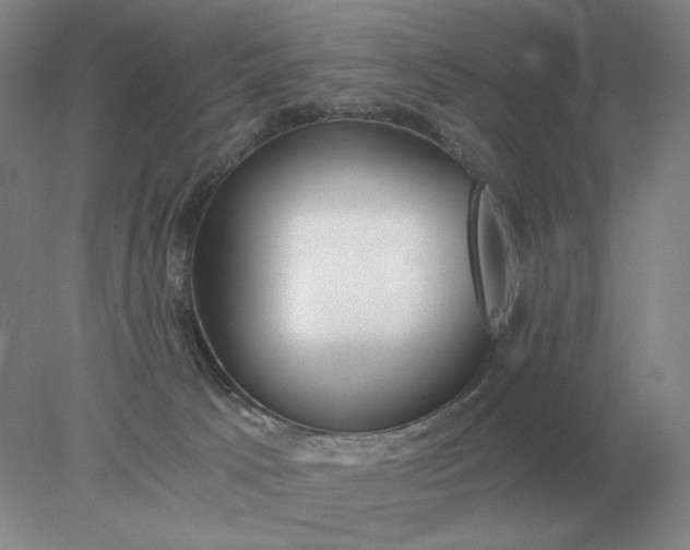 X0000078300033200611172200