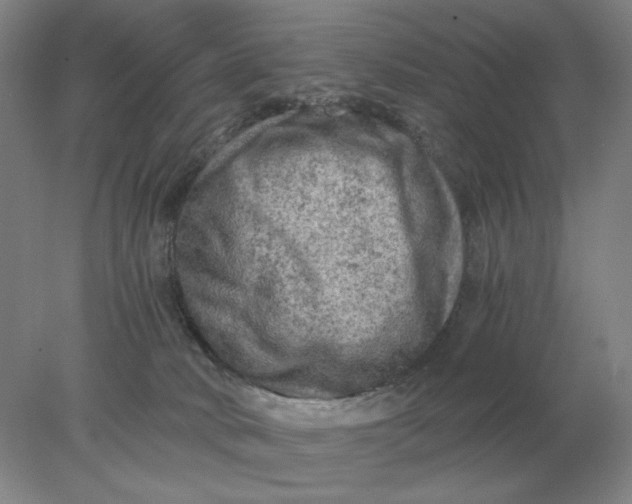 X0000078300034200611172200