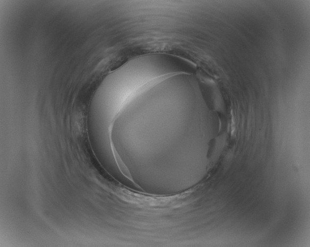 X0000078300035200611172200