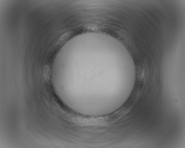 X0000078300036200611172200