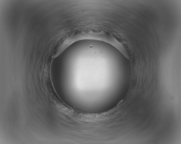 X0000078300037200611172200