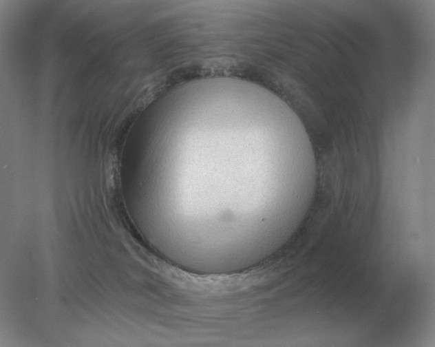 X0000078300038200611172159