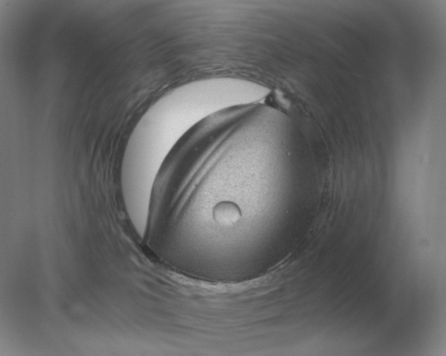 X0000078300039200611172159