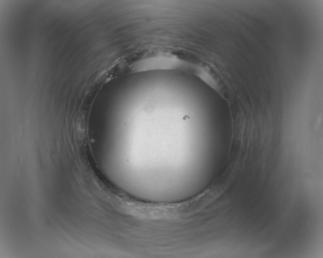 X0000078300040200611172159